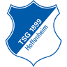 TSG 1899 Hoffenheim logo