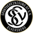 SV 07 Elversberg logo