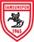 Samsunspor logo